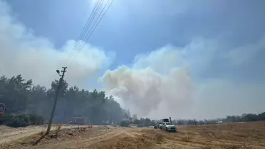Antalya'da Orman Yangınları Kontrol Altına Alınıyor