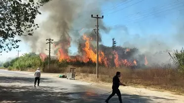 Manavgat'ta Sazlık Yangını Kontrol Altında