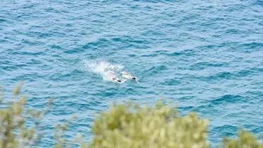 Antalya'da Nem ve Sıcaklık Tatilcileri Sahillere Çekti