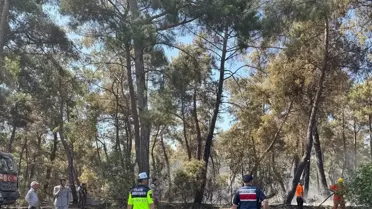 Antalya'da Orman Yangınları