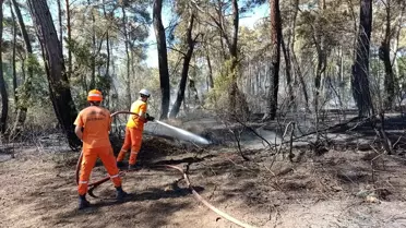 Antalya'daki Orman Yangınları Kontrol Altında