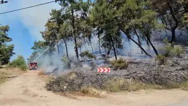 Manavgat'ta Orman Yangını Kontrol Altına Alındı