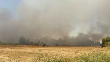 Serik'te Orman Yangınına Müdahale