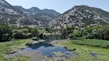 Kırkgöz'deki Nilüferler Göz Kamaştırıyor