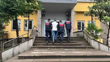 Hopa'da Uyuşturucu Operasyonu: Bir Tutuklama