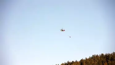 Çine'de Orman Yangını Kontrol Altına Alındı