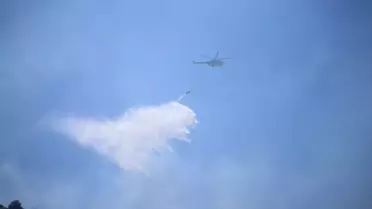 Aydın'da Tarım Alanında Yangın