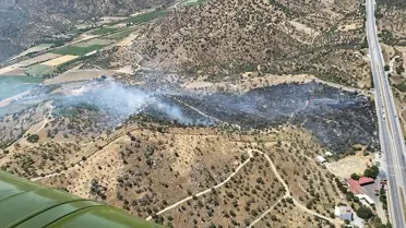 Aydın'da Zeytin Ağaçlarında Yangın