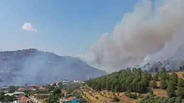 Aydın'da Yangın Kontrol Altına Alındı