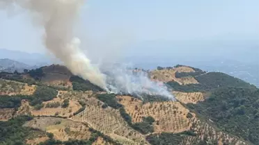 Aydın'da Ziraat Alanında Yangın