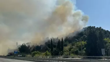 Aydın'da Tarım Alanlarında Yangınlar