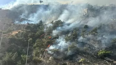 Söke'de Orman Yangınına Müdahale