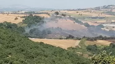 Manyas'ta Yangın Kontrol Altında