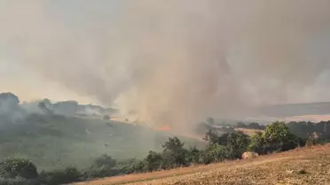Susurluk'ta Yangın Kontrol Altına Alındı