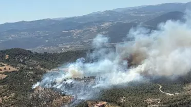 Balıkesir'de Yangınlar Kontrol Altına Alındı