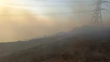Bandırma'daki Arazi Yangını Kontrol Altına Alındı