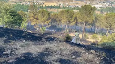 Dursunbey'de Orman Yangını Kontrol Altında