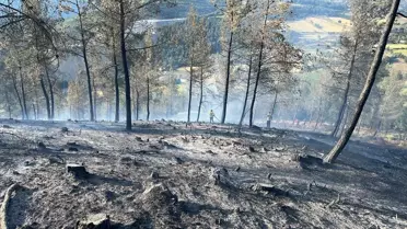 Dursunbey'de Orman Yangını Kontrol Altına Alındı