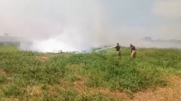 Manyas Gölü'nde Yangın Kontrol Altına Alındı