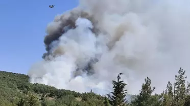 Balıkesir'deki orman yangınlarına ilişkin soruşturmada 5 gözaltı