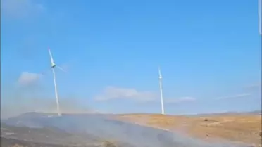 Paşalimanı Adası'nda Yangın Kontrol Altına Alındı