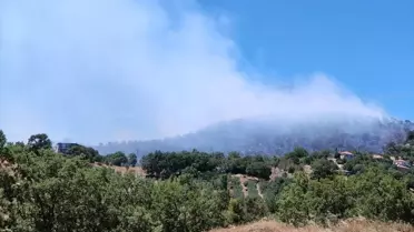 Savaştepe'de Orman Yangını