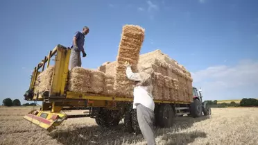 Trakya'da Aşırı Sıcakta Balya Mesaisi
