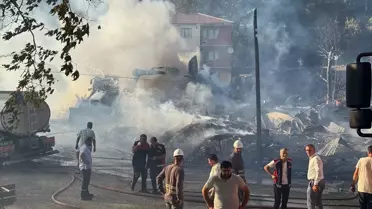 Bartın'da Yangın: 2 Ev ve 2 Samanlık Yandı
