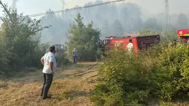Bartın'da Orman Yangını Kontrol Altında