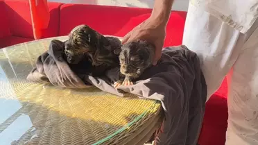 Mamak'ta Yangın: 8 Gecekondu Kullanılamaz Hale Geldi