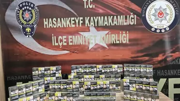 Hasankeyf'te Kaçakçılık Operasyonu