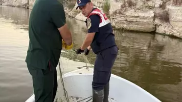 Batman'da Hayalet Ağ Ele Geçirildi