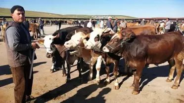 Bayburt'ta Kurban Bayramı Hazırlıkları Tamamlandı