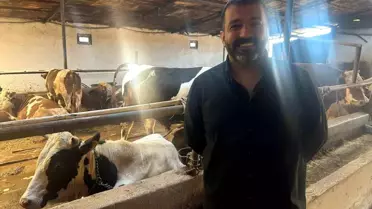 Eskişehir'de Kurbanlık Fiyatları Stabil