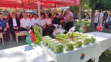 Bayramiç Beyazının Hasat Töreni
