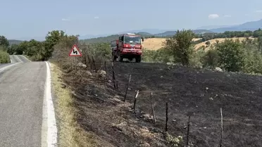Bayramiç'te Otluk Alanda Yangın