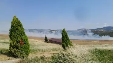 Bayramiç'te Tarım Arazisinde Yangın