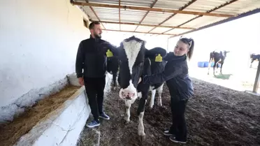Belçika'dan Kırklareli'ne Göç Eden Çift Hayvancılığa Başladı