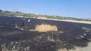 Beypazarı'nda Buğday Tarlasında Yangın
