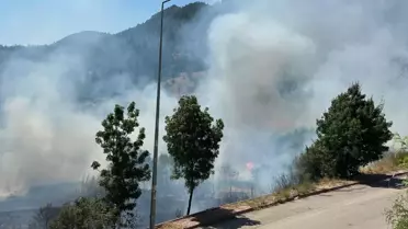 Beyşehir'de Yangın Kontrol Altına Alındı