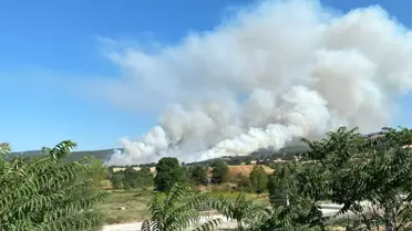 Bilecik'te Orman Yangınına Müdahale