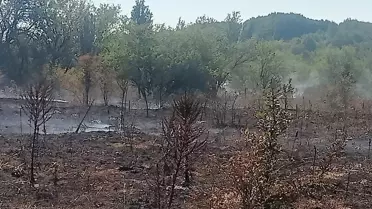 Bilecik'te Arazi Yangını Kontrol Altında