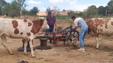 Pazaryeri'ndeki Yangın Kontrol Altına Alındı