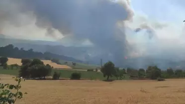 Gölpazarı'ndaki Orman Yangını Kontrol Altında