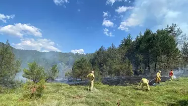 Bilecik'te Orman Yangını Kontrol Altına Alındı