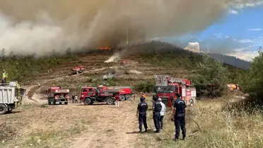 Bilecik'te Orman Yangını: Müdahale Başladı