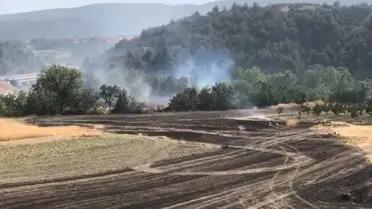 Bilecik'te Tarım Arazisinde Yangın