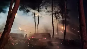 Gölpazarı'nda Koyun Yangını: 95 Hayvan Telef Oldu