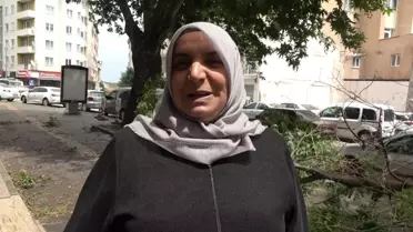 Bilecik'te Şiddetli Fırtına: Ağaç Dalları ve Çatılar Uçtu