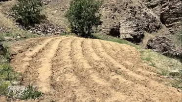 Bingöl'de Uyuşturucu Operasyonu